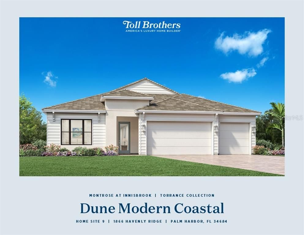 1866 HAVENLY RIDGE, Palm Harbor, FL 34684