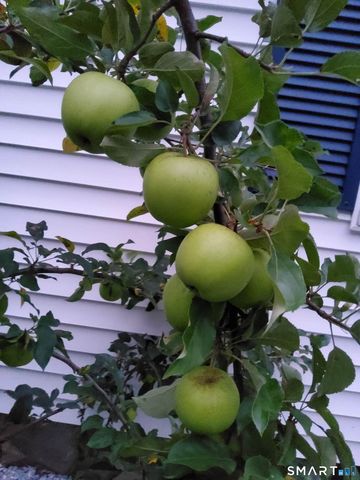 43 Bateswood Road, Waterbury, CT 06706