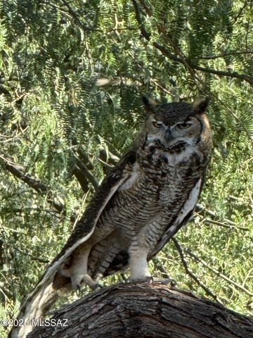 603 W Mickelson Lane, Green Valley, AZ 85614