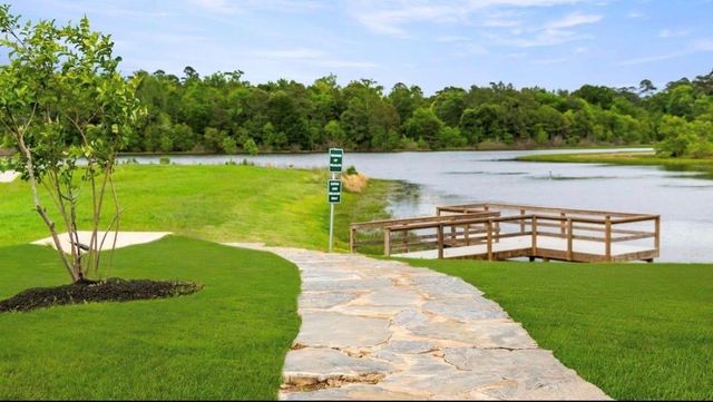 42841 Terraza Boulevard, Magnolia, TX 77354