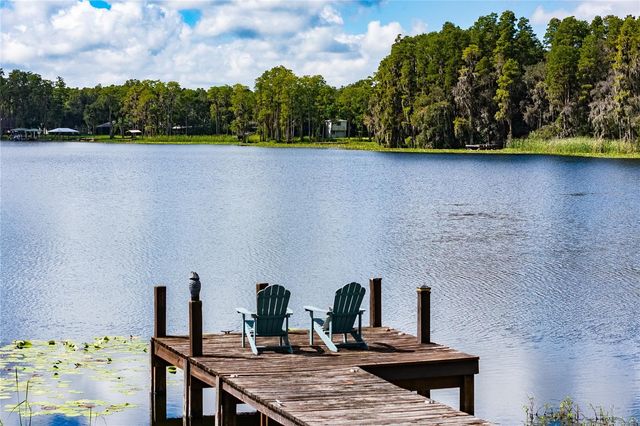 2963 LAKE SAXON DRIVE, Land O Lakes, FL 34639