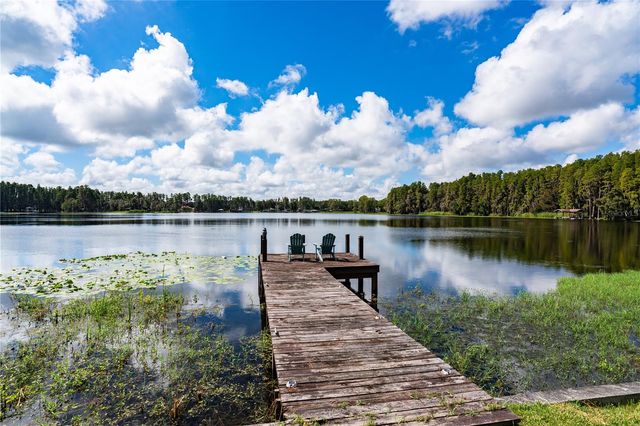 2963 LAKE SAXON DRIVE, Land O Lakes, FL 34639