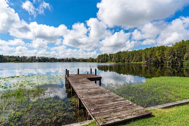 2963 LAKE SAXON DRIVE, Land O Lakes, FL 34639
