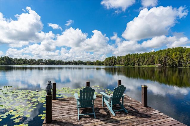 2963 LAKE SAXON DRIVE, Land O Lakes, FL 34639
