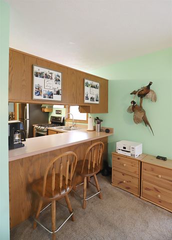 13455 Jennifer Drive, Perry Twp, MI 48872