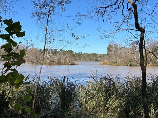 25810 Lakewater Drive, Huffman, TX 77336