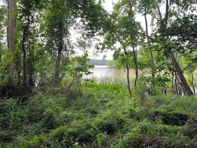 25810 Lakewater Drive, Huffman, TX 77336