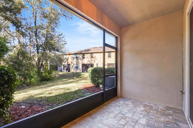 14158 DAMSELFLY DRIVE, Tampa, FL 33625