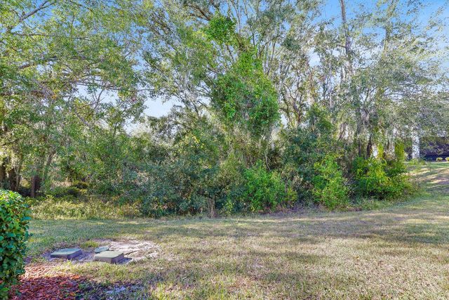 14158 DAMSELFLY DRIVE, Tampa, FL 33625