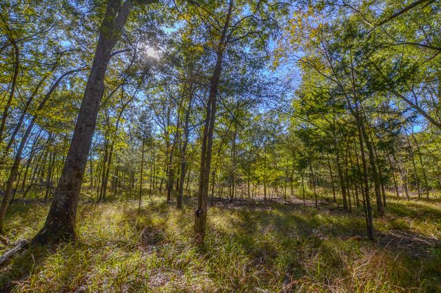 655 Vz County Road 2904, Eustace, TX 75124