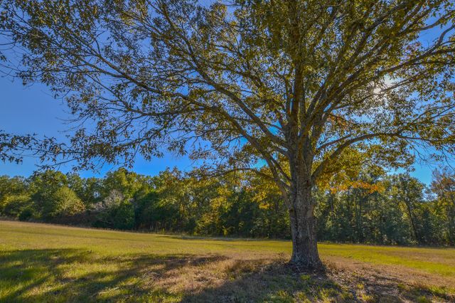 655 Vz County Road 2904, Eustace, TX 75124