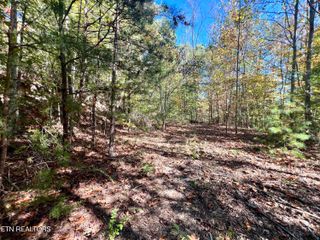 1844 Creek Hollow Way Way, Sevierville, TN 37876