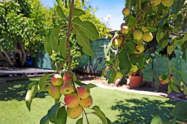 2309 High St, Oakland, CA 94601