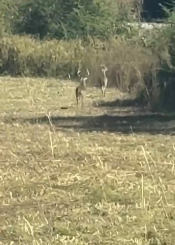 6.74 Acres Huskey Road, Dothan, AL 36303