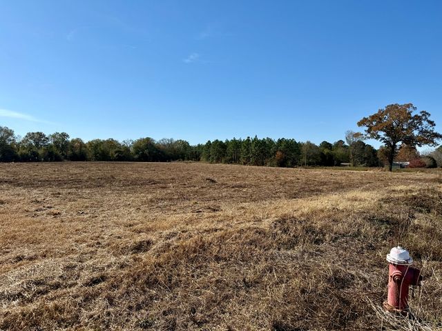 6.74 Acres Huskey Road, Dothan, AL 36303