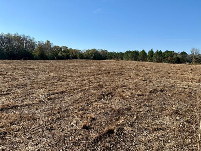 6.74 Acres Huskey Road, Dothan, AL 36303