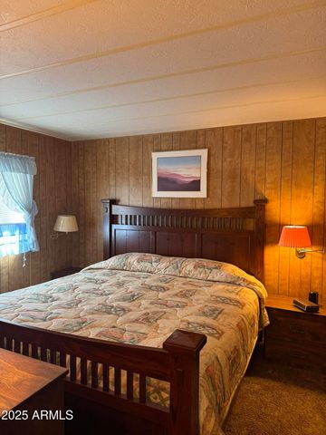 826 JACKS CANYON Drive, Happy Jack, AZ 86024