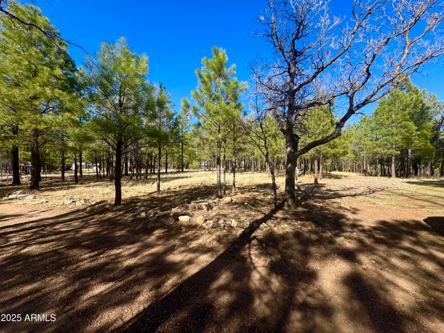 826 JACKS CANYON Drive, Happy Jack, AZ 86024