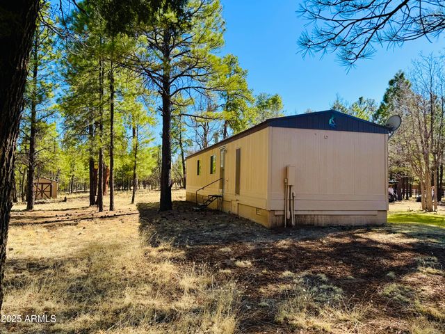 826 JACKS CANYON Drive, Happy Jack, AZ 86024