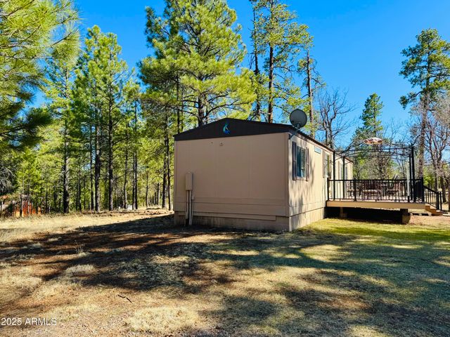 826 JACKS CANYON Drive, Happy Jack, AZ 86024