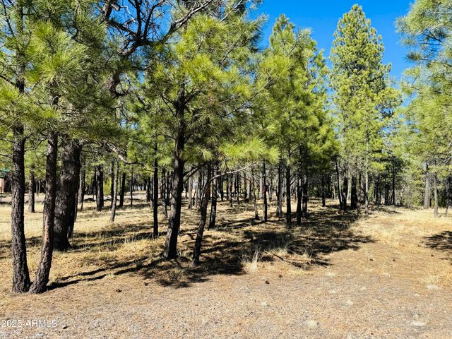 826 JACKS CANYON Drive, Happy Jack, AZ 86024