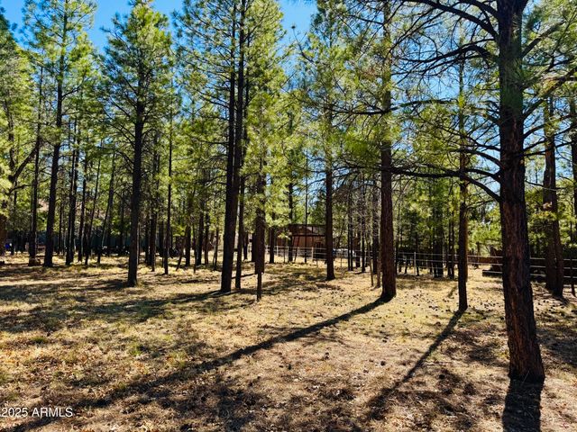 826 JACKS CANYON Drive, Happy Jack, AZ 86024