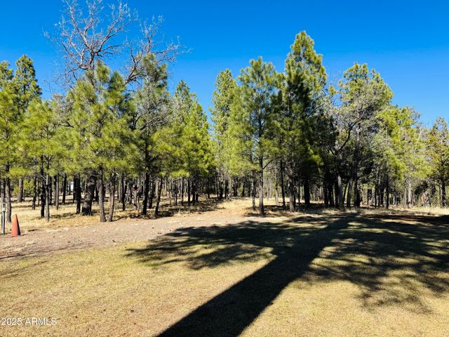 826 JACKS CANYON Drive, Happy Jack, AZ 86024