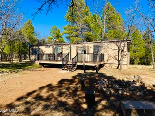 826 JACKS CANYON Drive, Happy Jack, AZ 86024