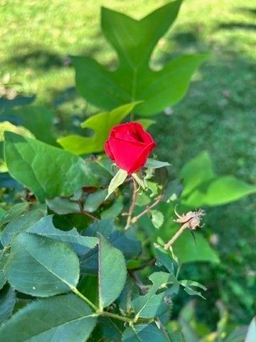 46 Broad St, Barre, MA 01005