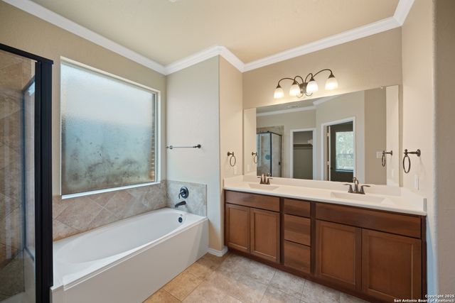 417 Cattle, Cibolo, TX 78108