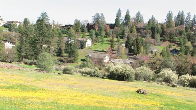 939 Fairway Ct, Murphys, CA 95247