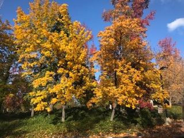 939 Fairway Ct, Murphys, CA 95247