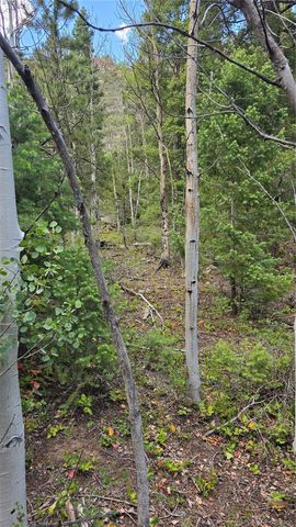 Lot 6474 Malcolm Road, San Luis, CO 81152