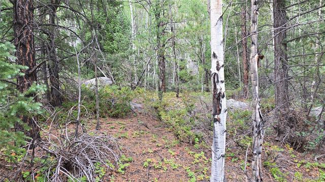 Lot 6474 Malcolm Road, San Luis, CO 81152