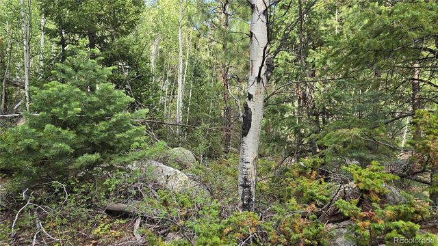 Lot 6474 Malcolm Road, San Luis, CO 81152
