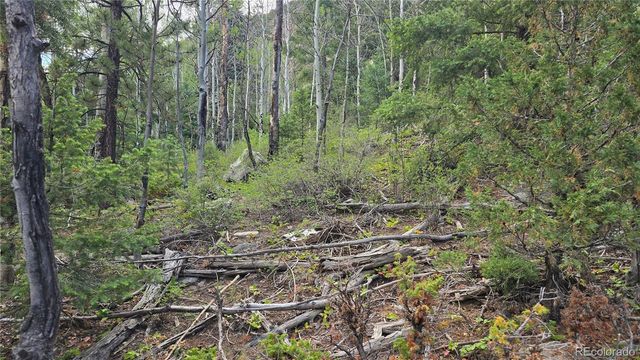 Lot 6474 Malcolm Road, San Luis, CO 81152
