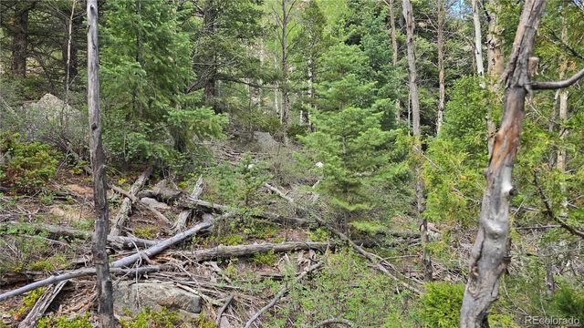 Lot 6474 Malcolm Road, San Luis, CO 81152