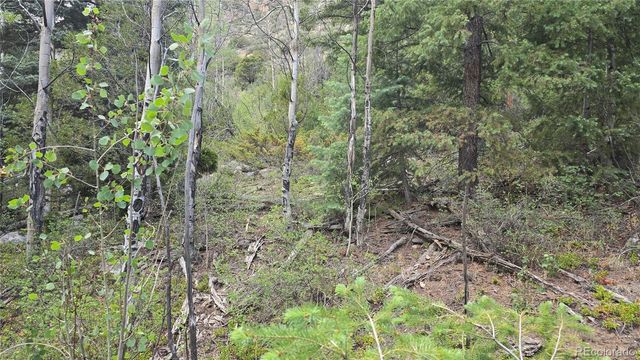 Lot 6474 Malcolm Road, San Luis, CO 81152