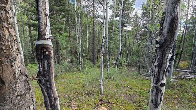 Lot 6474 Malcolm Road, San Luis, CO 81152