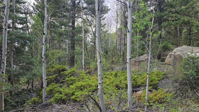 Lot 6474 Malcolm Road, San Luis, CO 81152