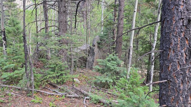 Lot 6474 Malcolm Road, San Luis, CO 81152