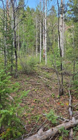 Lot 6474 Malcolm Road, San Luis, CO 81152