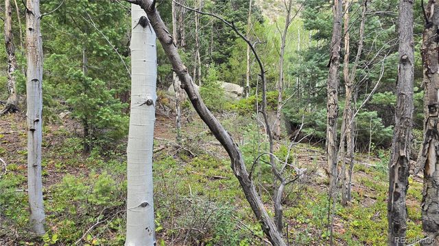 Lot 6474 Malcolm Road, San Luis, CO 81152