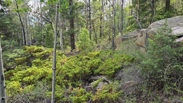 Lot 6474 Malcolm Road, San Luis, CO 81152