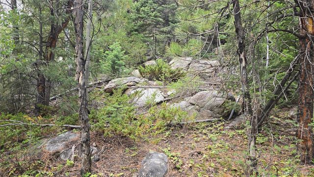 Lot 6474 Malcolm Road, San Luis, CO 81152