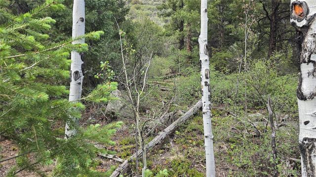 Lot 6474 Malcolm Road, San Luis, CO 81152