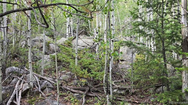 Lot 6474 Malcolm Road, San Luis, CO 81152