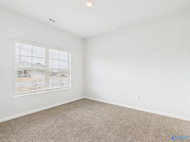 157 High Leaf Drive, Harvest, AL 35749