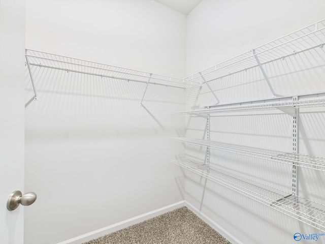 157 High Leaf Drive, Harvest, AL 35749