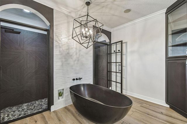 372 COCO PLUM COURT, Oldsmar, FL 34677